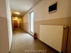 Pronájem bytu 2+kk, Brno, Reissigova, 47 m2