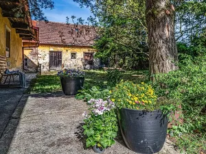 Prodej chalupy, Podmokly, 251 m2