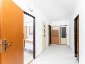 Prodej rodinného domu, Droužkovice, J. Švermy, 229 m2