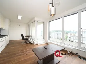 Pronájem bytu 1+kk, Praha - Dejvice, Lindleyova, 59 m2