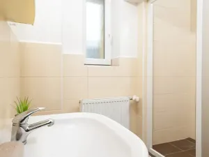 Pronájem bytu 1+1, Ostrava, Palackého, 41 m2