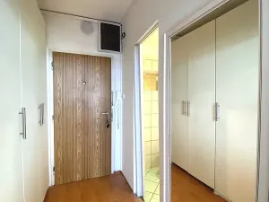 Pronájem bytu 1+kk, Praha, Družicová, 36 m2