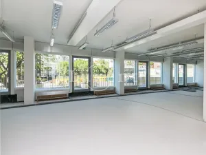 Pronájem obchodního prostoru, Praha - Nusle, Lomnického, 44 m2