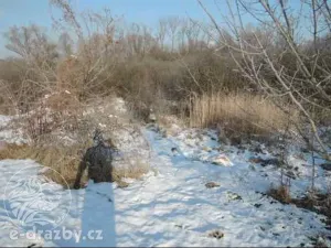 Dražba pozemku, Světec, 13949 m2