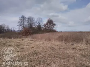 Dražba pozemku, Janovice nad Úhlavou, 4609 m2