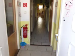 Prodej činžovního domu, Olomouc, Na zákopě, 150 m2