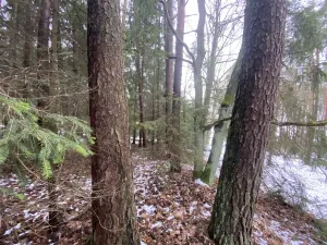 Prodej pozemku, Veliny, 180 m2