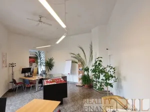 Pronájem obchodního prostoru, Plzeň, Na Roudné, 76 m2