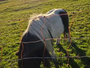 Prodej rodinného domu, Frenštát pod Radhoštěm, Planiska, 110 m2