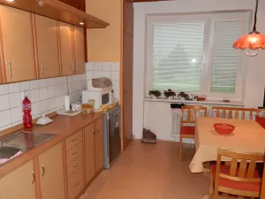 Pronájem bytu 2+1, Prostějov, Boženy Němcové, 64 m2