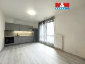 Pronájem bytu 2+kk, České Budějovice - České Budějovice 3, Hálkova, 38 m2