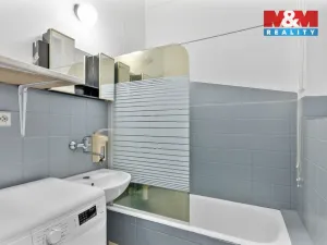 Prodej bytu 1+1, Mladá Boleslav - Mladá Boleslav III, S. K. Neumanna, 51 m2