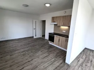 Pronájem bytu 1+kk, Plzeň, Železniční, 43 m2