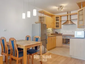 Pronájem bytu 2+kk, Jihlava, Nad Jihlávkou, 58 m2