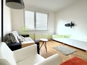 Pronájem bytu 1+1, Vsetín, Družstevní, 34 m2