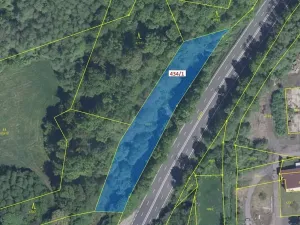 Dražba lesa, Metylovice, 2788 m2