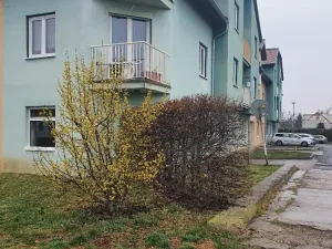 Dražba pozemku, Praha, 243 m2