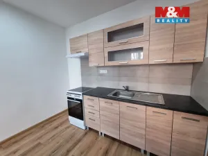 Pronájem bytu 1+1, Ostrava - Moravská Ostrava, 60 m2