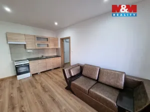 Pronájem bytu 1+1, Ostrava - Moravská Ostrava, 60 m2