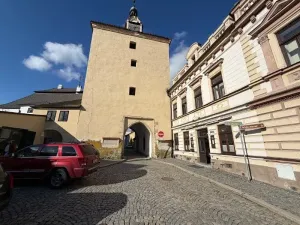 Prodej obchodního prostoru, Pelhřimov, 342 m2