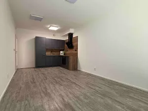 Pronájem bytu 2+kk, Hluboká nad Vltavou, Potoční, 52 m2