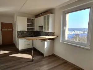 Pronájem bytu 1+kk, Praha - Černý Most, Bryksova, 19 m2