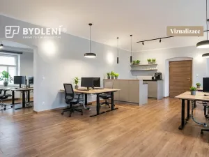 Prodej výrobních prostor, Malé Březno, 670 m2