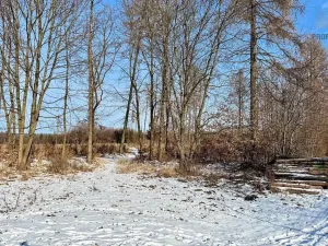 Prodej chaty, Hostěnice, 97 m2