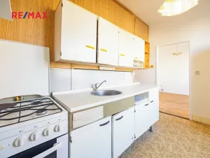 Prodej bytu 2+1, Praha - Žižkov, Pod lipami, 53 m2