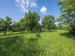 Pronájem zahrady, Brno, Zelná, 3109 m2