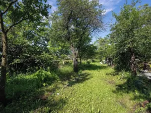 Pronájem zahrady, Brno, Zelná, 3109 m2