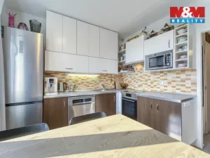 Prodej bytu 1+1, Plzeň - Severní Předměstí, Brněnská, 38 m2