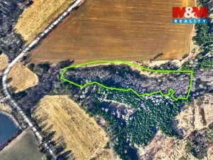 Prodej louky, Kadolec, 16899 m2