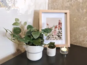 Pronájem bytu 2+kk, Praha - Žižkov, Žerotínova, 45 m2