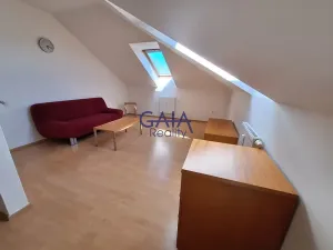 Pronájem bytu 1+kk, Prostějov, Krasická, 46 m2