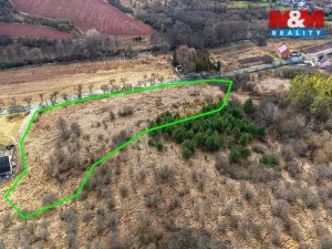 Prodej louky, Tuchořice - Nečemice, 10841 m2