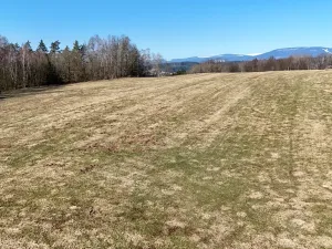 Prodej louky, Chotěvice, 24195 m2