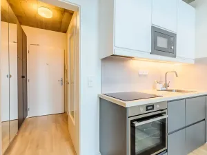 Prodej bytu 1+kk, Praha - Libeň, Novovysočanská, 39 m2