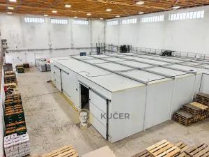 Prodej skladu, Kostelec nad Labem, Neratovická, 3457 m2