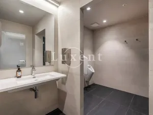 Pronájem bytu 4+kk, Praha - Smíchov, Holečkova, 178 m2