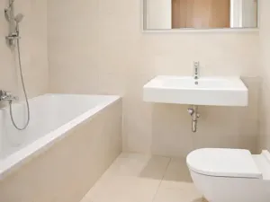 Prodej bytu 2+kk, Praha - Žižkov, Ke kapslovně, 58 m2