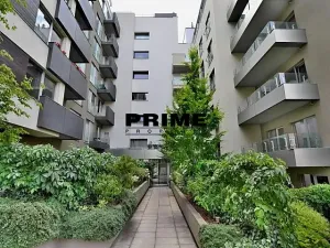Pronájem bytu 2+kk, Praha - Žižkov, Prokopova, 58 m2