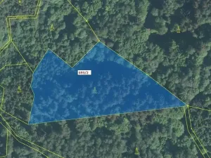 Dražba lesa, Lačnov, 7364 m2