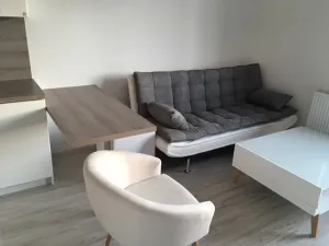 Pronájem bytu 2+kk, Praha - Nové Město, Opletalova, 45 m2
