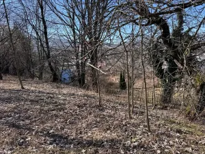 Prodej pozemku pro bydlení, Zlaté Hory, U Sv. Rocha, 5589 m2