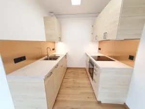 Pronájem bytu 2+kk, Praha - Břevnov, U Petřin, 55 m2