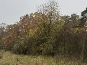 Prodej pozemku, Praha, 14747 m2