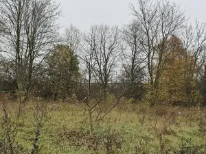 Prodej pozemku, Praha, 14747 m2