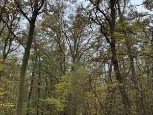 Prodej pozemku, Praha, 14747 m2