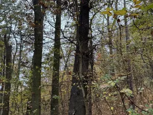 Prodej pozemku, Praha, 14747 m2